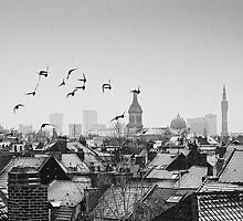 Black Birds by Nayko