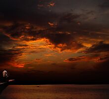 The Last Cruise by Rezoanratul