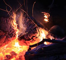Sparking Embers by Alyce Taylor