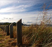 Barriers by Kylie Sheahen