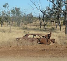 Way Out West-Central Queensland by DecorDiva