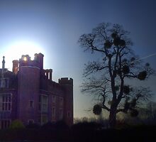 A tree in the grounds of Hampton Court Palace by NeilAlderney
