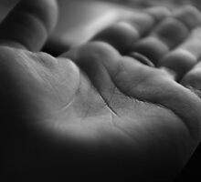 take my hand by mariette sardin