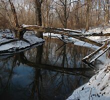 Over the River and Through the Woods by christiane