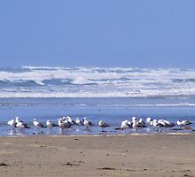 Where Are We by John and Marie Sharp