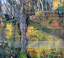 Breakthrough by relayer51