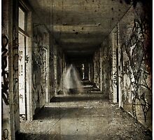Roaming the Halls by Steph Enbom