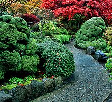 Butchart Gardens by Anne McKinnell