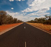 The Road Just Travelled by wolfcat