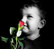 Stop And Smell The Roses by Lynne Morris