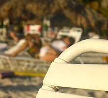 Beach Tryst by MarianBendeth
