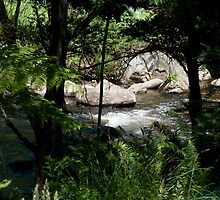 Respite from Black by Chris Curnow