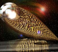 Intergalactic Casket by Peter Berry
