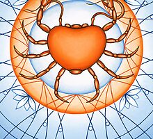 Cancer - Capture the world with wisdom. by Sarah Jane Bingham