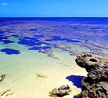 Abrolhos Islands by Kerryn Benbow