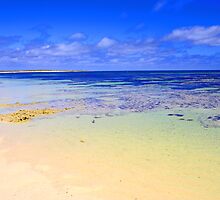 Abrolhos Islands 2 by Kerryn Benbow