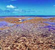 Abrolhos Islands 3 by Kerryn Benbow