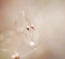 A different world by Babette de Jong
