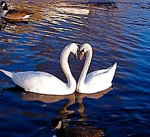 Be my Valentine by marc melander