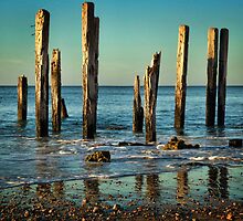 The Jetty Ruins at Port Willunga by Barb Leopold