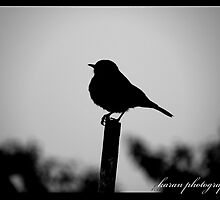 a small life in this big mean world... by Karan Vir Singh