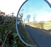 Through the Looking Glass. Lancashire, England. by David Dutton