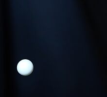 Pong by David Lamb