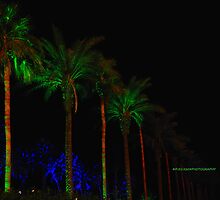 Scenes from Cali XI by PJS15204
