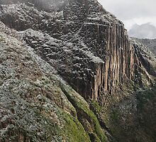 Dusting on Anne by tasadam