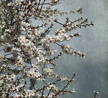 Breathe Again by Laurie Search