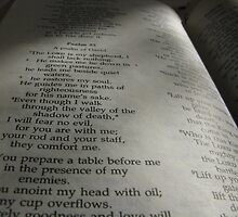 23rd PSALM by gothgirl