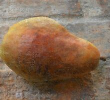 Rustic Pear by SharonAHenson