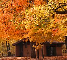 Autumn Landscape by snehit