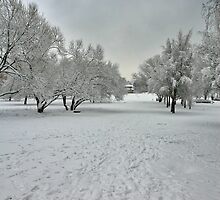 Gloom Winter by demigod