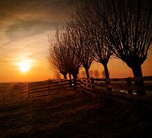 "In the depths of winter I finally learned there was in me an invincible summer" ~ Albert Camus by Bert Raaphorst