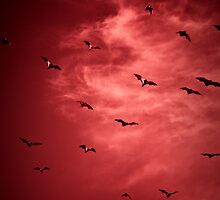 Eve of the Vampires (Sanguine Version) by ElRobbo
