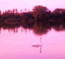 Swan Lake in pinks by anaisnais