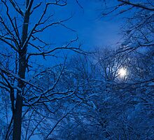 Snowstorm Moonrise by JETIII