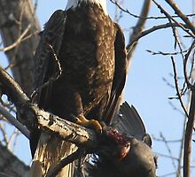 Hunger wins. by Paul Jewell