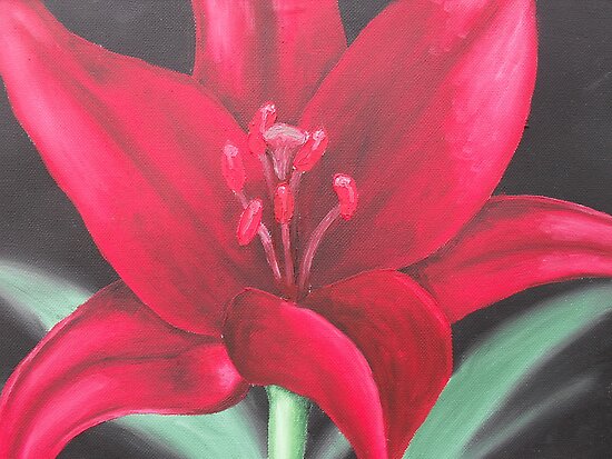 Painted Lilies