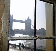 The World Outside by Mark Czerwonka