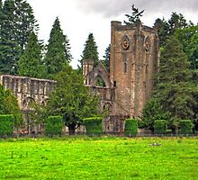 Cathedral Ruin by Tom Gomez