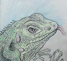 Young Iguana by JETIII