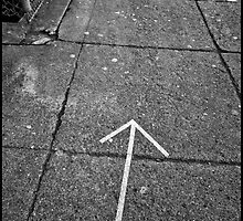Dog Directions by Patrick T. Power