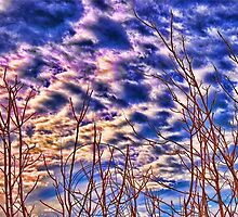 Storm Warning by Herman Hodges