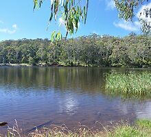 Sheba Dams, Hanging Rock (Nundle) NSW by Bev Woodman