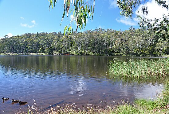 Sheba Dam