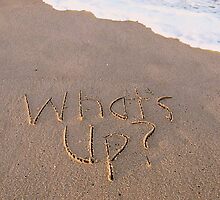 What's Up card by Lenora "Slinky" Regan