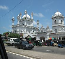 Mosque In Sri Lanka by Camille Jackson