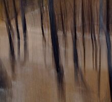 Dancing Trees by Bojoura Stolz